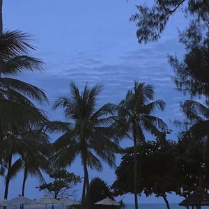 XXXXX日本护士笱潮下巴
