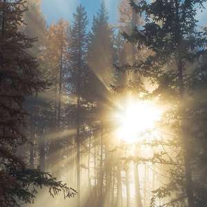 XXXXX日本护士笱潮下巴
